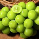 대봉상회 이미지