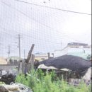 제주바당민박 이미지