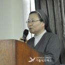 ﻿﻿생태는 ‘하느님의 집안 살림 이야기’- 천주교주교회의 생태환경위원회 심포지엄 열어 이미지