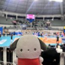 최강아지 이미지