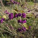 춘향길 조성 조형물 | 춘향휴게소 하행 후기 (순천방향) l 쉬어가기 좋은 순천완주고속도로 휴게소