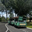 팜스월드 그린농장 | 방콕 근교 아이랑 가볼만한 곳 카오 키여우 개방동물원(Khao Kheow Open Zoo) 주말 후기 및 꿀팁