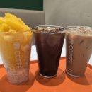엔커피 광주경안점 네이버블로그