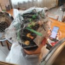 현정헤어 이미지