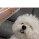 없음 네이버블로그