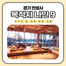 목적지9 | 안성 목적지 나인 대형카페 메뉴 후기 주차 정보 총정리
