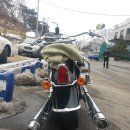 테일소프트 이미지