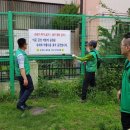 금성어린이공원 이미지