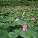 선원면-8 이미지