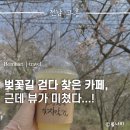 별헤는 몰랑