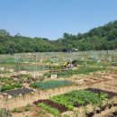 초지농장 이미지