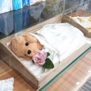 리멤버파크 이미지