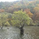 ■산야맛추천5호점■ ☆영덕 강구항 대게 먹기☆ (2026년 3월 1일)/전국에서 살아보기 하면서 그지역에서 직접체험하며 선정한 맛집 이미지