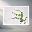 [언제든학교]명화감상의 즐거움 시즌3 | 여름에 읽은 책 50권_ 월간 애플 8월호