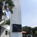 와흘리 1798 이미지