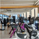 잇짐 헬스&PT | 부산 헬스장 PT 추천 바디프로필 준비 여기서 하세요