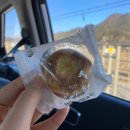 아인글램핑 | 가평 글램핑 추천 (feat.내돈내산 후기)