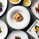 소노캄 고양 이미지