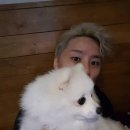 피카 네이버블로그