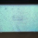 버디스크린 골프장 이미지