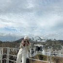 지혜원 이미지