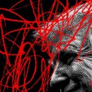 BLACK PINE RESORT 이미지