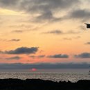 풍차와해넘이 이미지