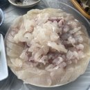 진동면[솔밭횟집]후기