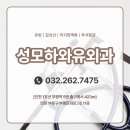 성모하와유외과의원 네이버블로그