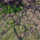 유엔기념공원주차장 이미지