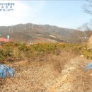 초월읍-12 이미지