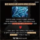 판교종합 동물병원 이미지