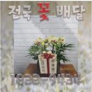 완산-97 이미지