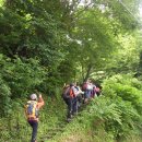 일본 3대명산 다이센(1710m)산행및온천관광안내 이미지