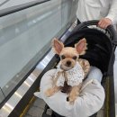 (주)이마트 킨텍스로점 이미지