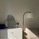 LARVA | 화장대 거울 어썸프레임 LARVA 후기