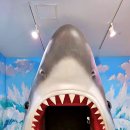 박물관은살아있다 | 아이랑 제주여행 ]제주도 아이랑 가볼만한곳 서귀포 중문 박물관은살아있다 실내 관광지 추천 후기