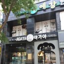 제주 애견 아가야 이미지