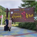 거진11리 마을 이미지