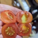 신누리마루와 베리킹 이미지