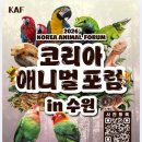 청천코리아 충청탑뉴스