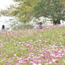 산들목장 이미지