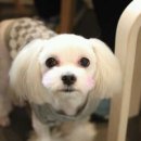 허*열