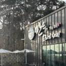 만두요리가되다 | 만두전골 맛집 만두요리가 되다 - 아기랑 방문 후기