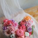 궁촌농장 이미지