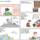 ==냉수대신, 따듯한 약차를 듭시다--15,산사,생강,오미자,진피,국화,구기자,자소,인삼,맥문동, 이미지