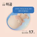 일상고기