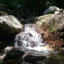 해인농장 이미지