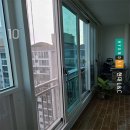 국제백양 이미지