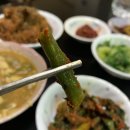 만남자매갓김치 | 전라도 여수 갓김치 배송 후기 feat.만남자매갓김치